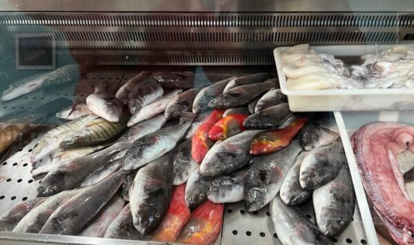 nevera con pescado en un guachinche